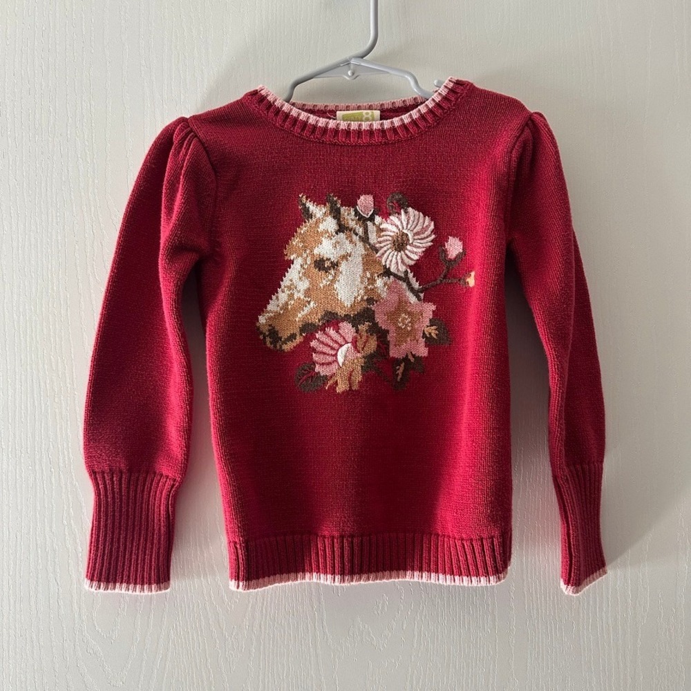 Crazy 8 Girls Horse Floral Intarsia Knit Sweater Red Size 5/6 Cottagecore Pony